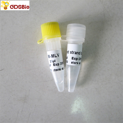 M-Mlv عكس Transcriptase PCR كاشف rt PCR R1041/R1042