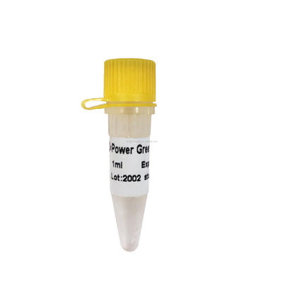 قوة أخضر QPCR مزيج منخفض ROX+ real-time PCR مزيج P2101a P2102a