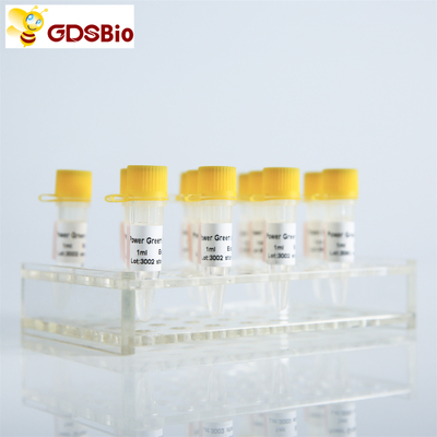 GDSBio قوة اللون الأخضر سيد خليط ل PCR مع ROX P2101c P2102c