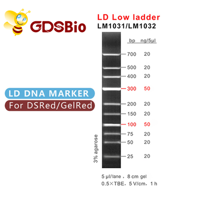 ld منخفض سلم dna علامة LM1031 (60 preps) /LM1032 (60 preps×3)
