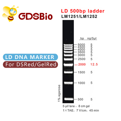 LD 500bp LM1251 (60 إعدادًا) / LM1252 (60 إعدادًا × 3)