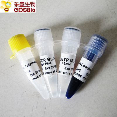 مصد أزرق Taq و dna polymerase ل PCR P1031 P1032 P1033 P1034