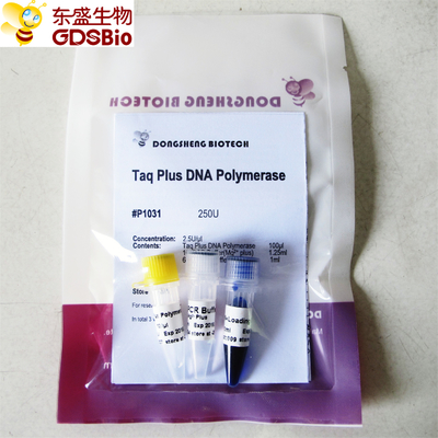 مصد أزرق Taq و dna polymerase ل PCR P1031 P1032 P1033 P1034