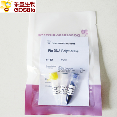 Pfu dna polymerase ل PCR P1021 P1022 P1023 P1024