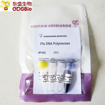 Pfu dna polymerase ل PCR P1021 P1022 P1023 P1024