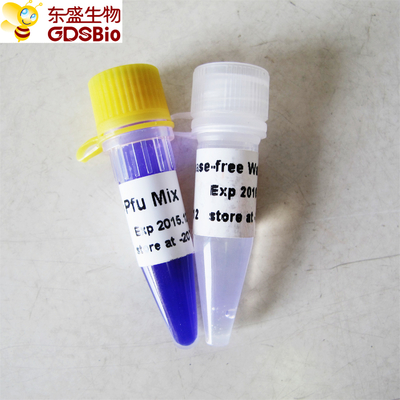 Hotstart Pfu مزيج PCR سيد مزيج P2051 1m P2052 اللون الأزرق مصد