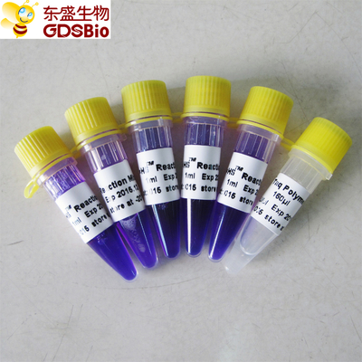 1ml×5 PCR سيد مزيج HS عدة لحامض محمّض نوويّ PCR كشف P3082