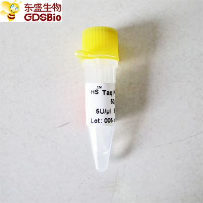 HS Hotstart Taq dna polymerase PCR كاشف نوعية عال P1081 P1082 P1083 P1084