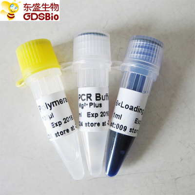Taq dna polymerase P1011 500U PCR سيد مزيج اللون الأزرق مصد