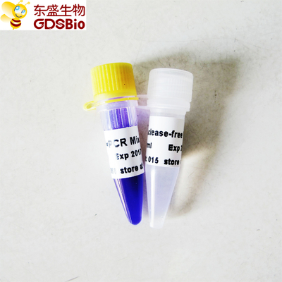 2x Taq PCR ردّ فعل مزيج P2011 1ml GDSBio اللون الأزرق مصد