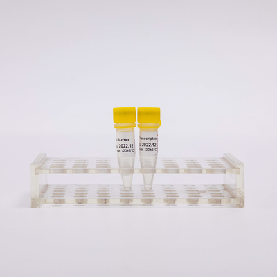 نوع ذهب rt PCR عكس Transcriptase R3001 2000U R3002 10000U