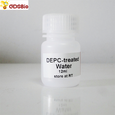 عامل 30ml DEPC ماء ل pCR R2041 عديم لون