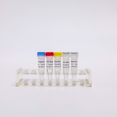 R1031 GDSBio rt PCR مزيج ل QPCR premixed عكسيّ Transcriptase PCR كاشف