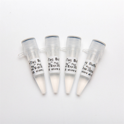 10× PCR مصد (Mg2+ و) P5011 1.25ml×4