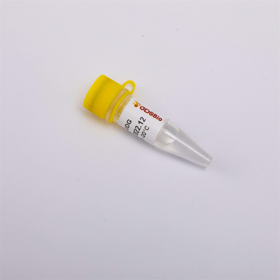 heat labile anti تلوث UDG أنزيم علم الأحياء جزيئيّ ل QPCR R5001 1 U/μL