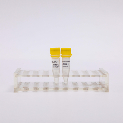 cDNA rt PCR نوع ذهب عكس Transcriptase R3001 2000U R3002 10000U