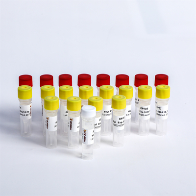 عالميّ مهايئة PCR كبسولة تفجير Oligos متعدّد 1 ل Illumina K002-A