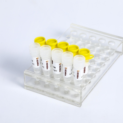 الكشف عن KASP PCR Master Mix P4021 P4022 SNP InDels
